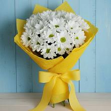 Букет цветов из:  Хризантемы #REPLACE_PRED# Салавате