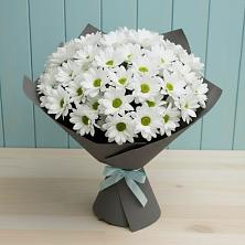 Букет цветов из:  Хризантемы в Салавате