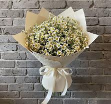 Букет цветов из:  Ромашки в Салавате