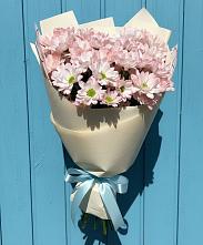 Букет цветов из:  Хризантемы в Салавате