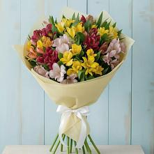Букет цветов из:  Альстромерии #REPLACE_PRED# Салавате