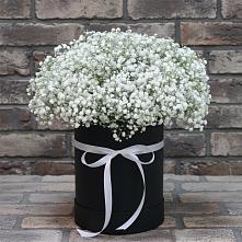 Цветочная композиция из Гипсофила в шляпной коробке в Салавате