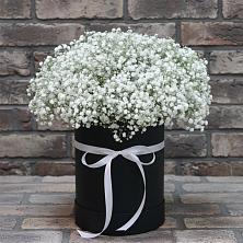 Цветочная композиция из Гипсофила в шляпной коробке в Салавате
