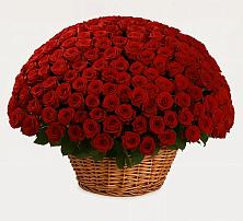 Премиум букет из: Розы в Салавате