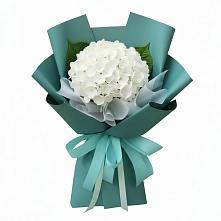 Букет цветов из:  Гортензия в Салавате
